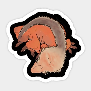 Grayson Line, Large Crested Gecko - Ember Sticker